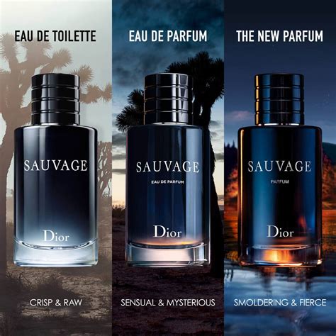 müller dior sauvage eau de parfum|dior sauvage cologne top notes.